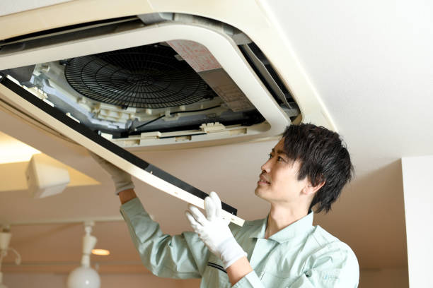 Best Air Duct Mold Removal  in USA